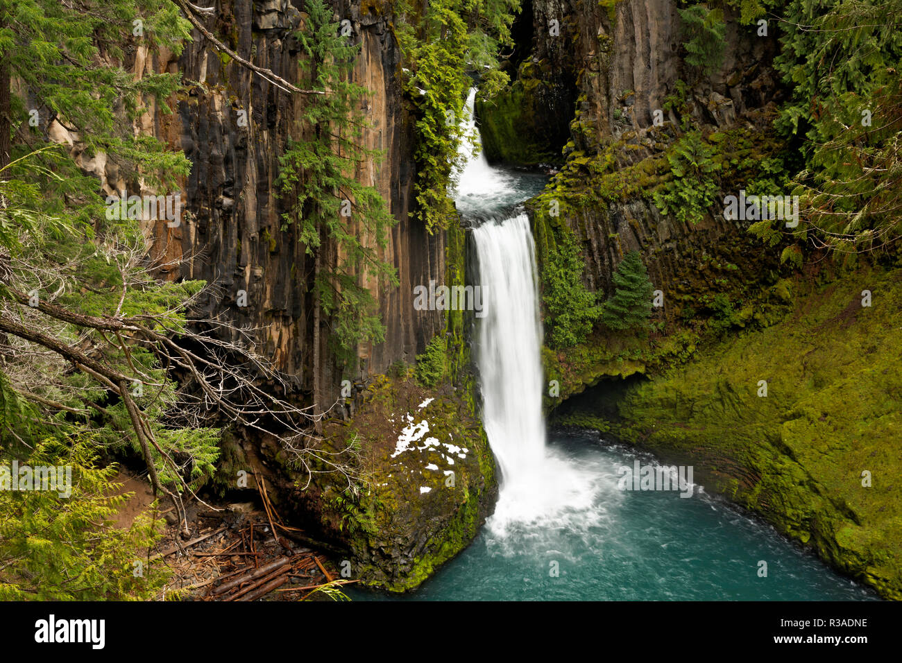 OR02459-00...OREGON - Toketee Falls surrounded by trees and columnar basalt on the Clearwater River in Umpqua National Forest. Stock Photo