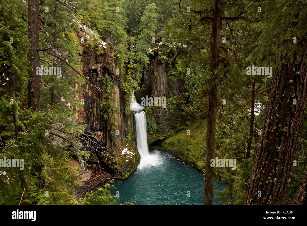 OR02458-00...OREGON - Toketee Falls surrounded by trees and columnar basalt on the Clearwater River in Umpqua National Forest. Stock Photo