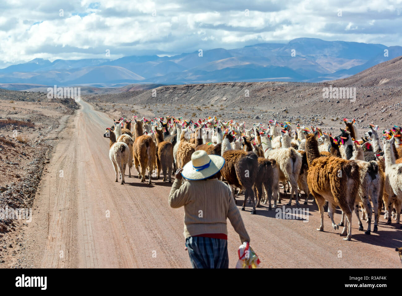 Indigenous farm chile hi-res stock photography and images - Alamy