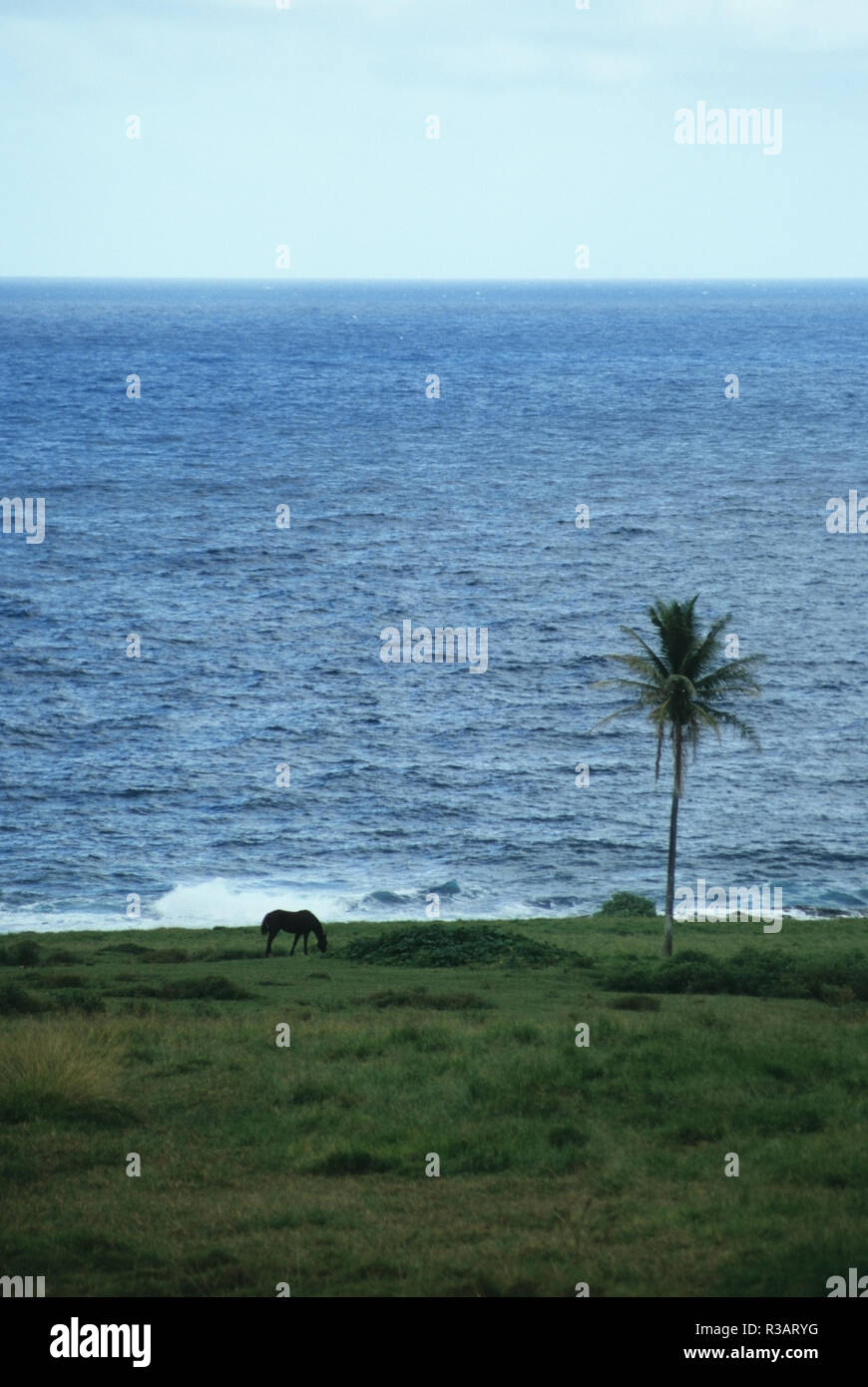 Dating maui hawaii