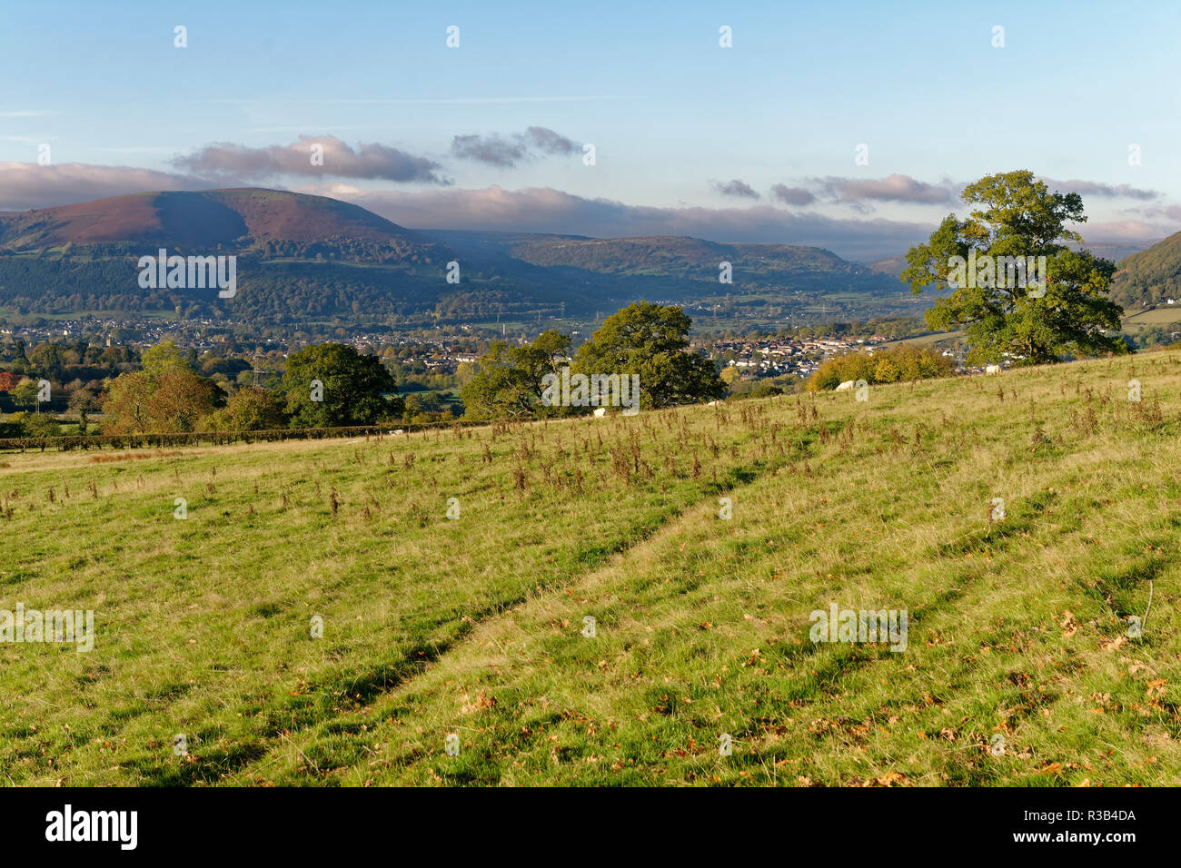 Abergavenny and Blorenge viewed from base of Ysgyryd Fawr (Skirrid Fawr