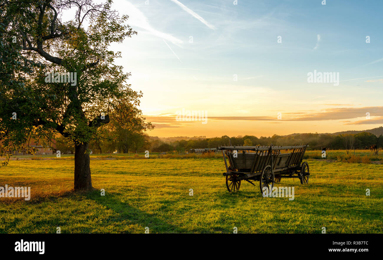 Hay wagon on the field at sunset, flatness, Saxon Switzerland, Saxony, Germany Stock Photo