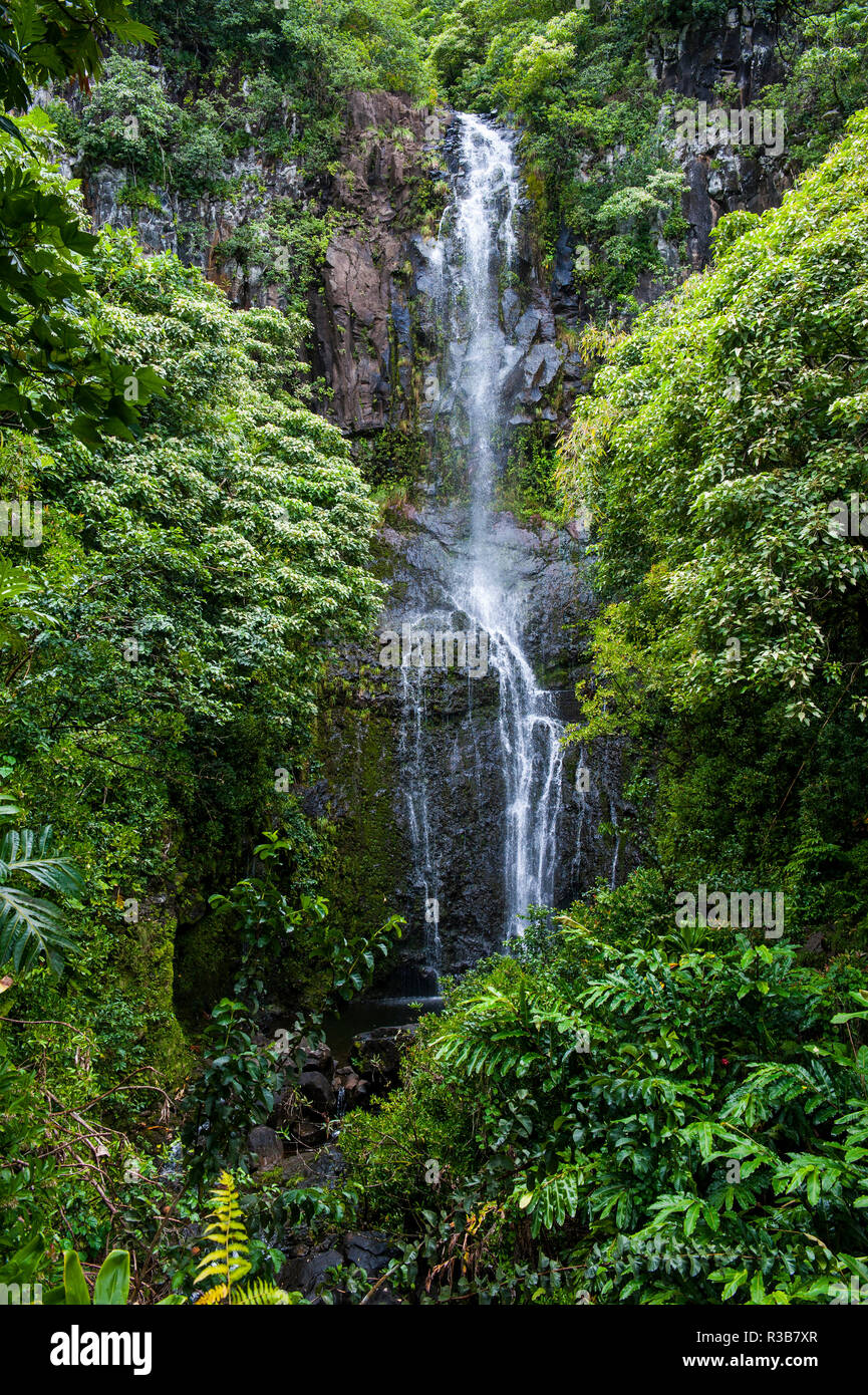 Makahiku falls in green vegetation, Haleakalā National Park, Maui, Hawaii, USA Stock Photo