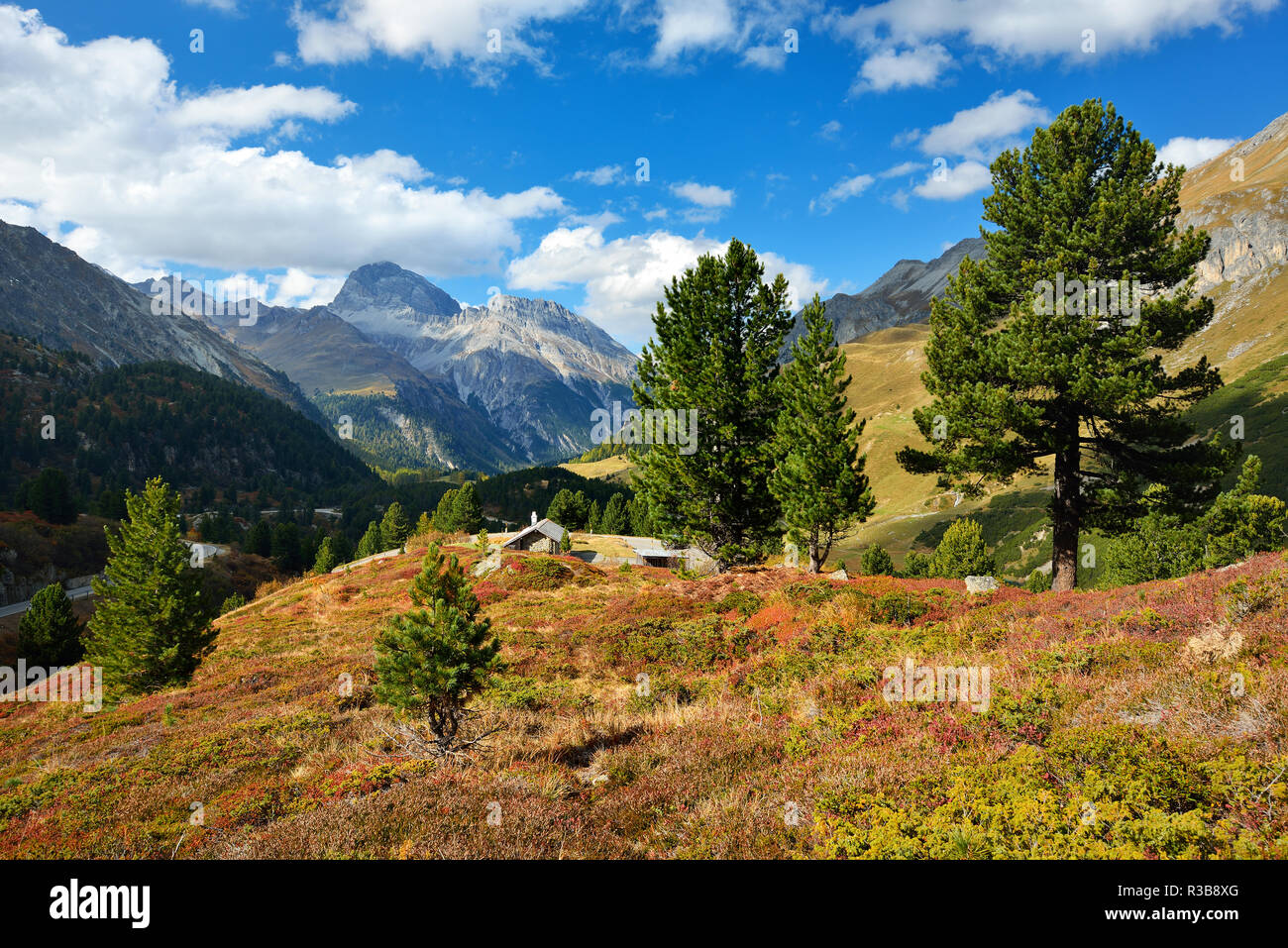 Mountain landscape at the Albulapass in autumn, Albulatal, Val d'Alvra, Canton Graubünden, Switzerland Stock Photo