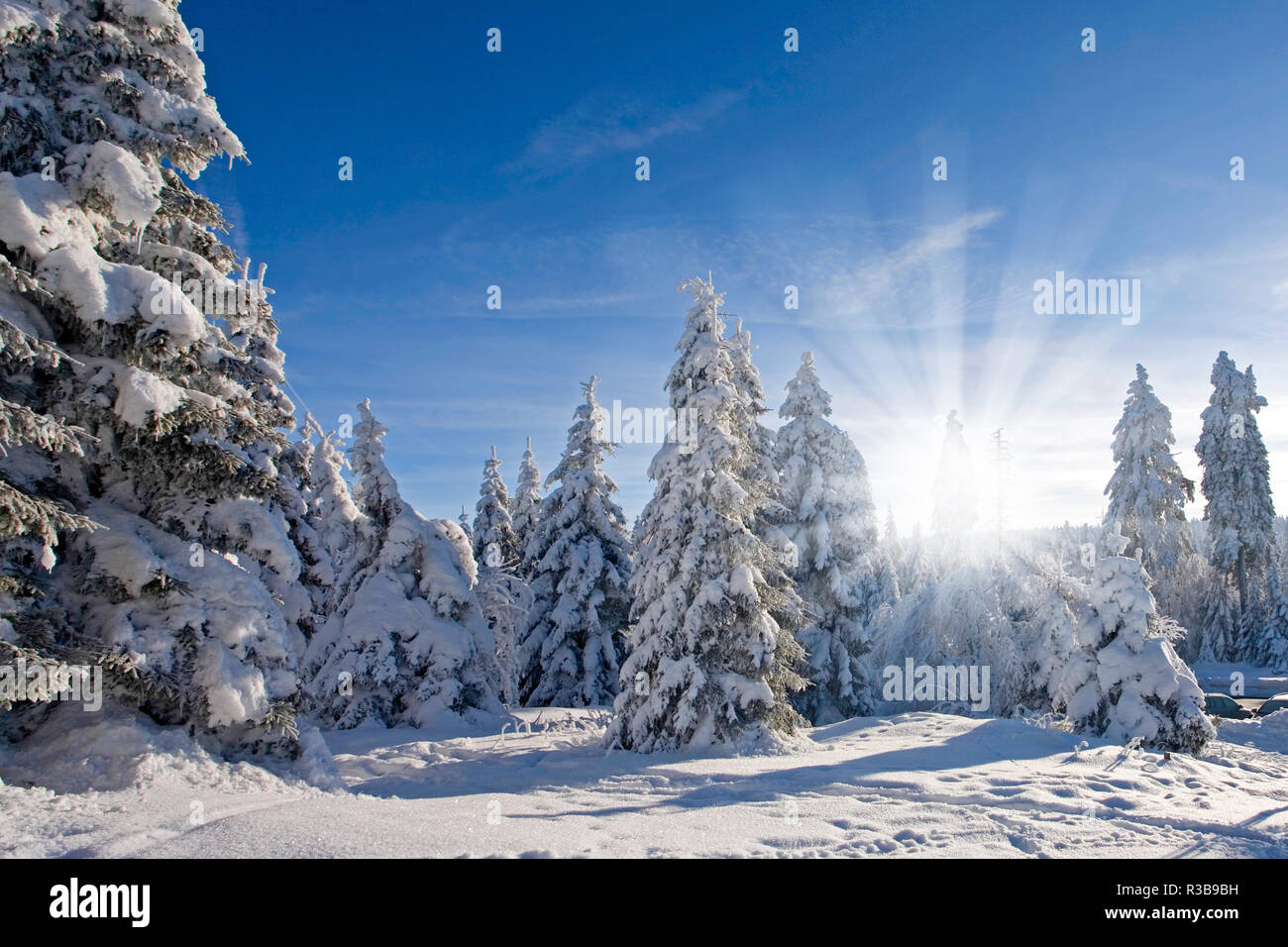 sunny winter landscape Stock Photo