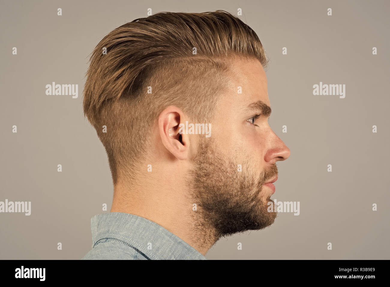 Man with beard on unshaven face profile. Macho with stylish hair, haircut  on grey background. Barbershop, barber salon. Grooming, male beauty  concept. Fashion, style, trend Stock Photo - Alamy