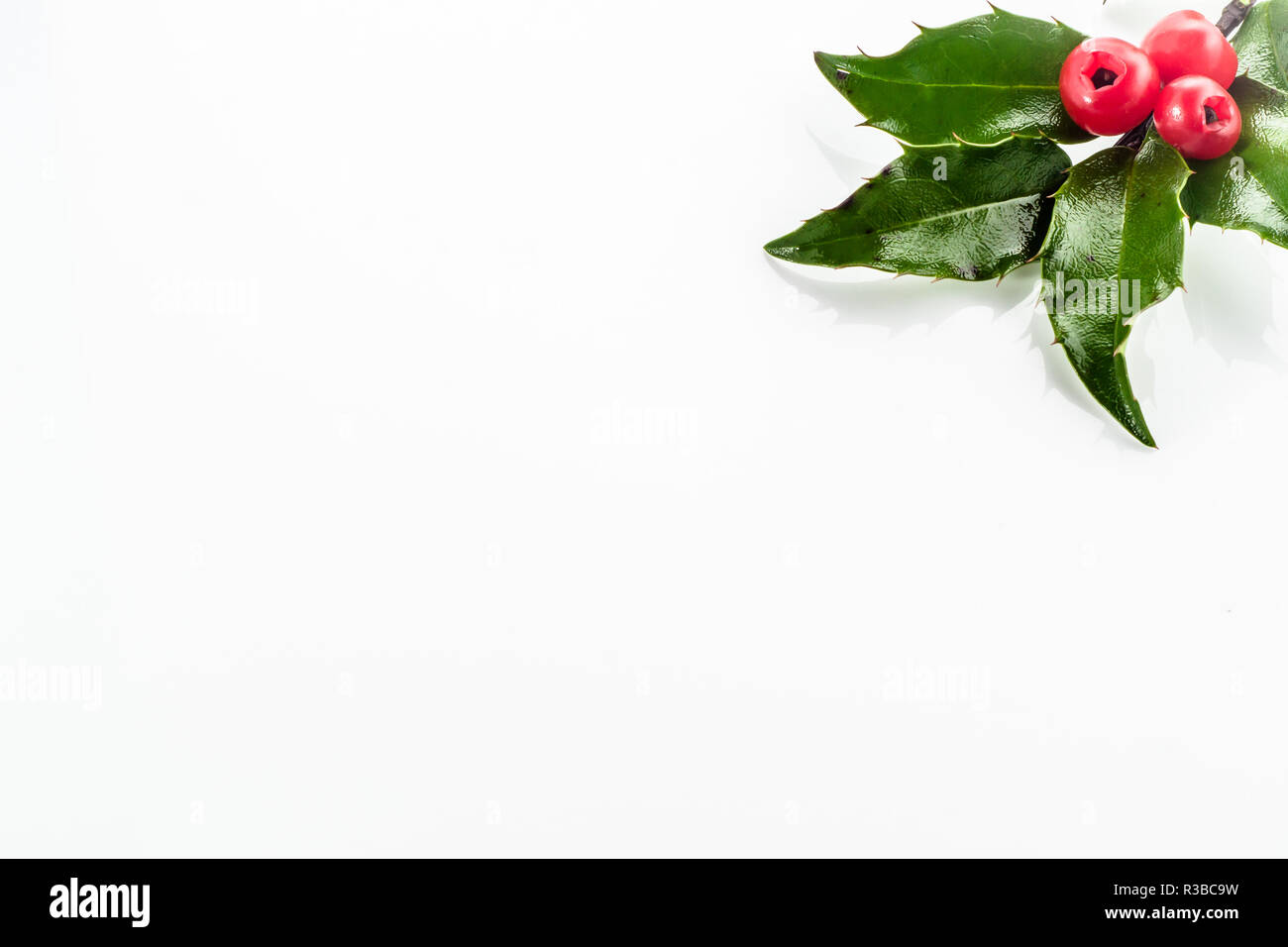 Christmas holly berry isolated on white background Stock Photo - Alamy