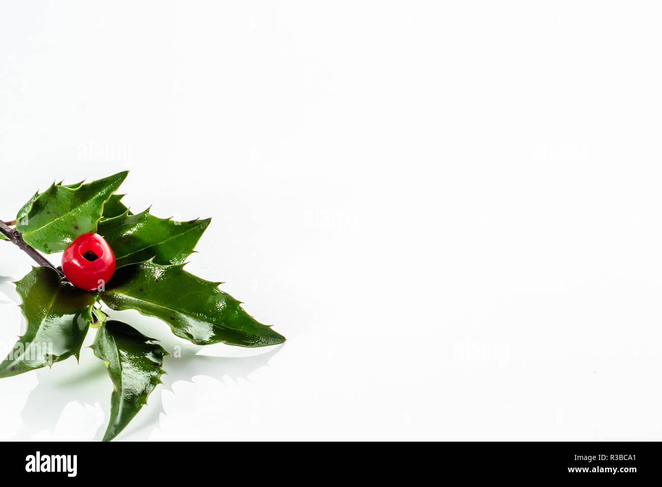 Christmas holly berry isolated on white background Stock Photo - Alamy