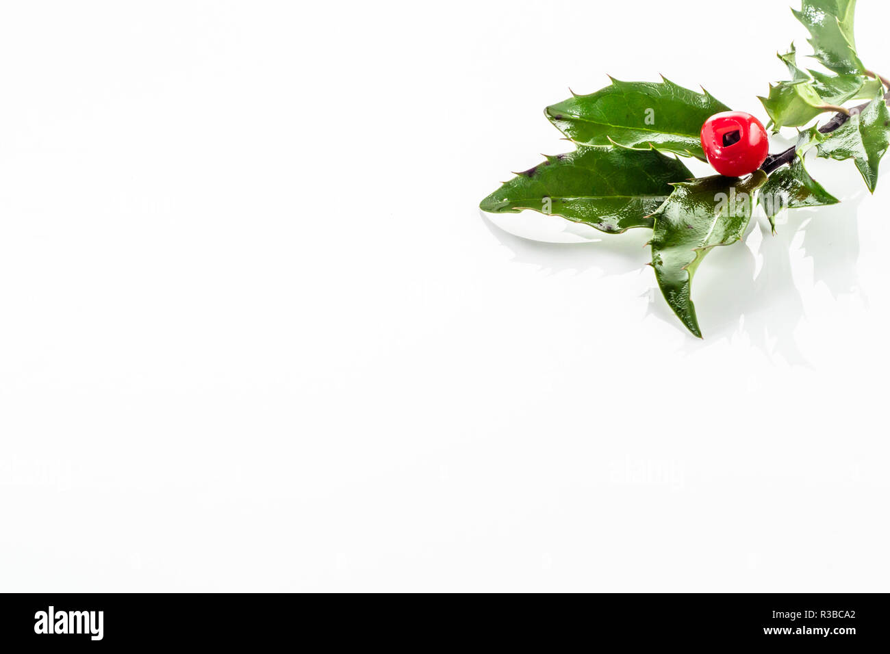 Christmas holly berry isolated on white background Stock Photo - Alamy