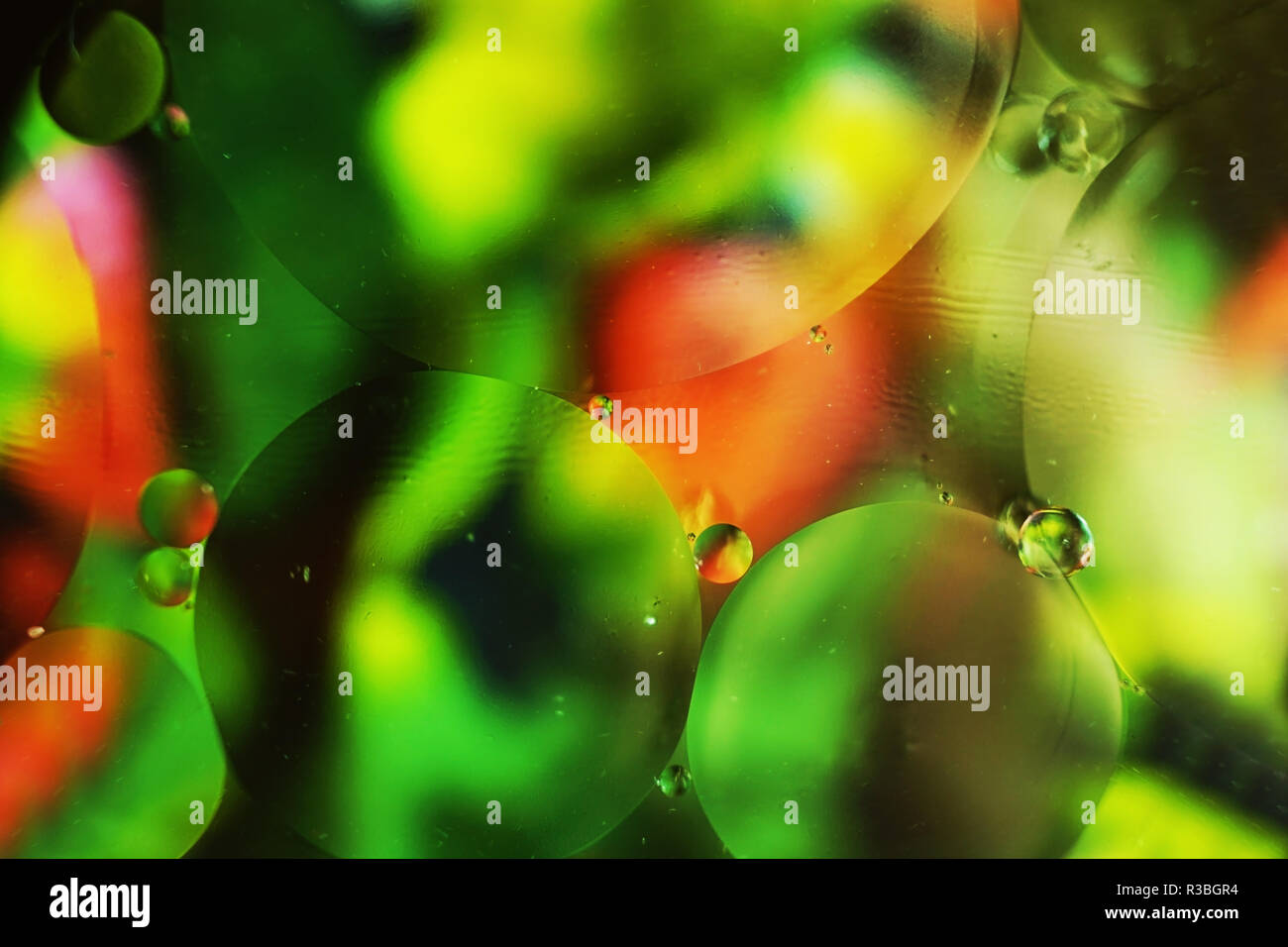 A Beautiful And Colorful Macro Of Oil Bubbles On Water With