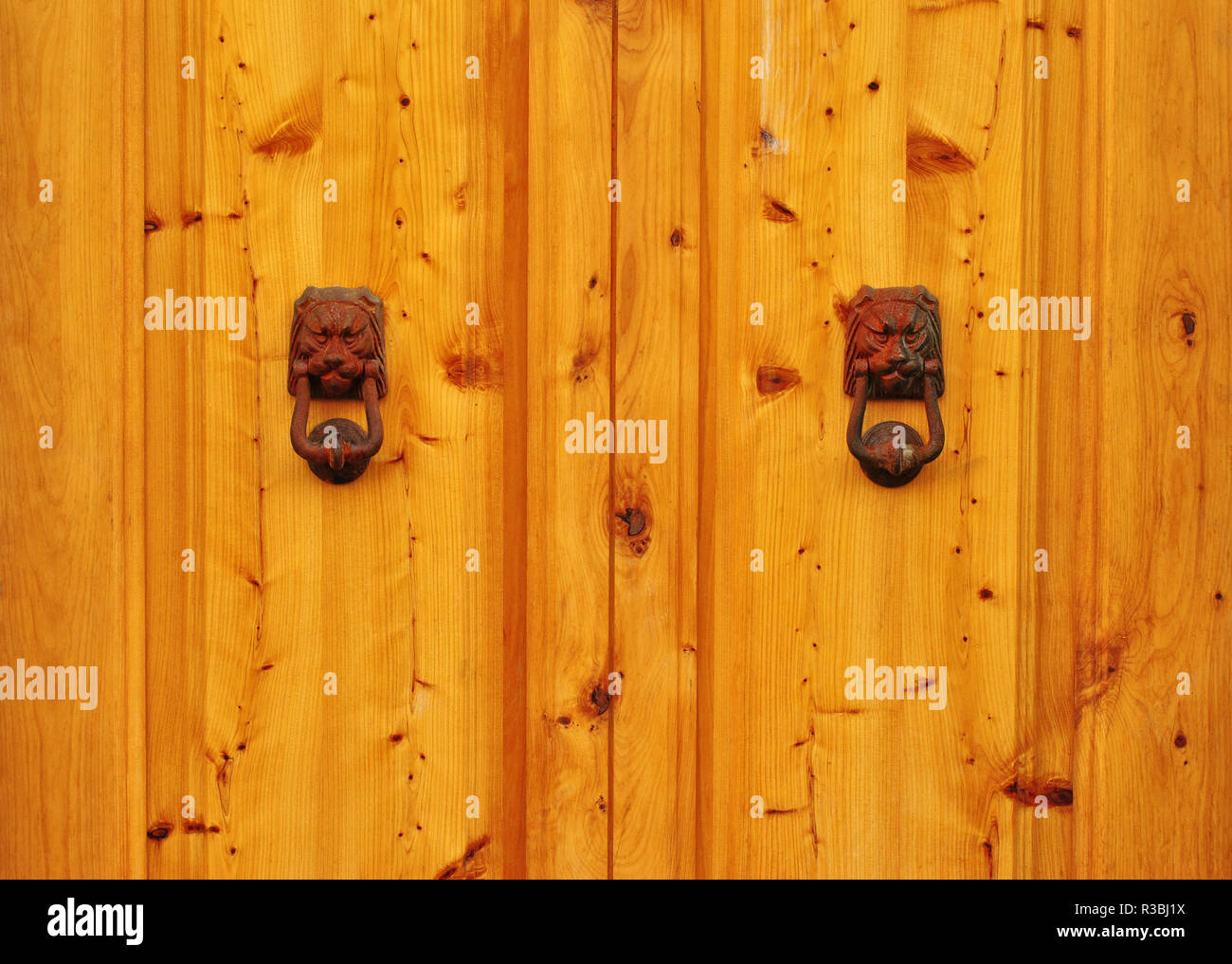 Detail of a wooden door with two metal lions Stock Photo