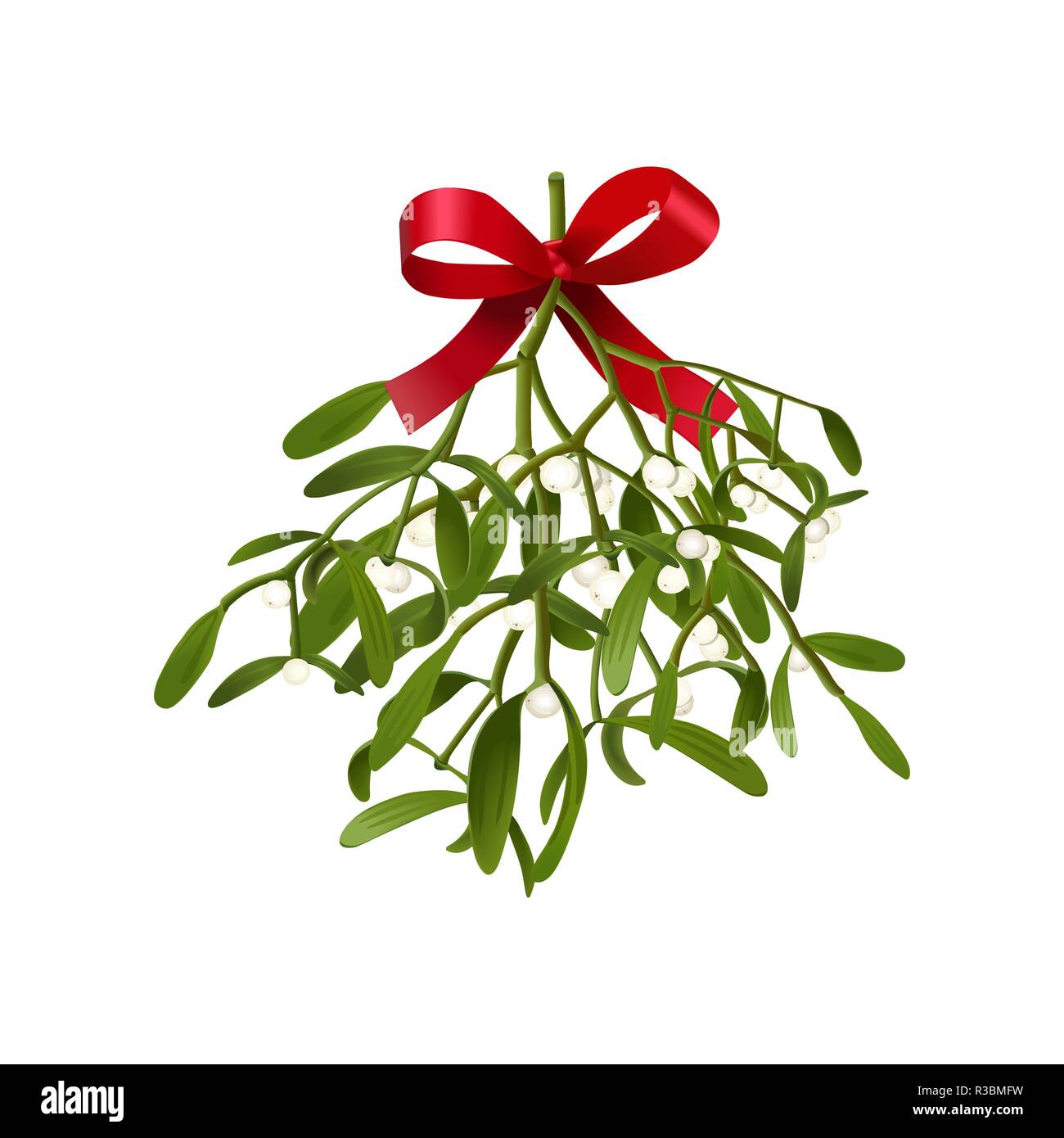 Mistletoe. Vector illustration of hanging fluffy mistletoe sprigs with  berries and red bow isolated on white background for Christmas cards and  decora Stock Vector Image & Art - Alamy