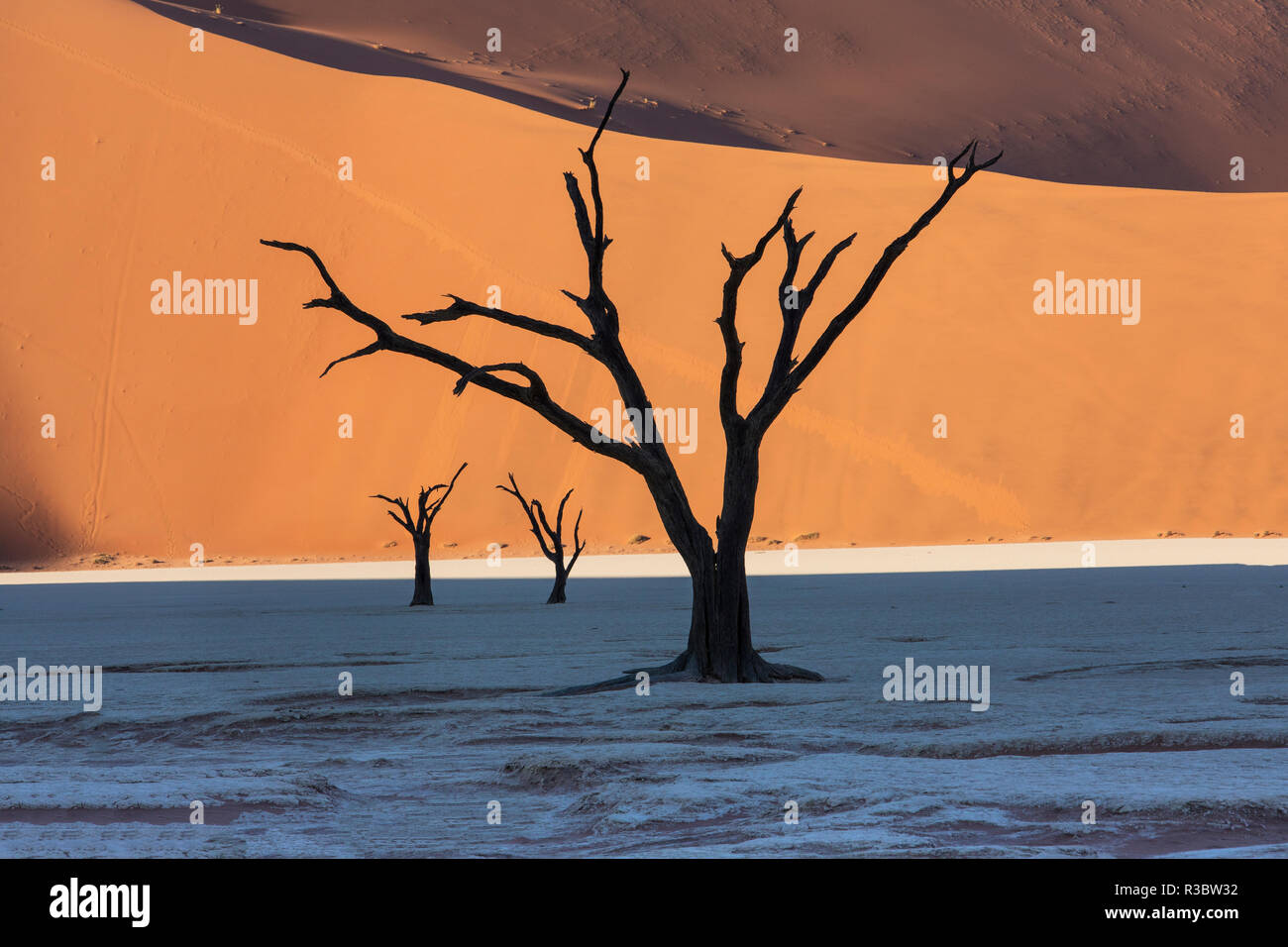 Africa namibia deadvlei dead trees hi-res stock photography and images ...