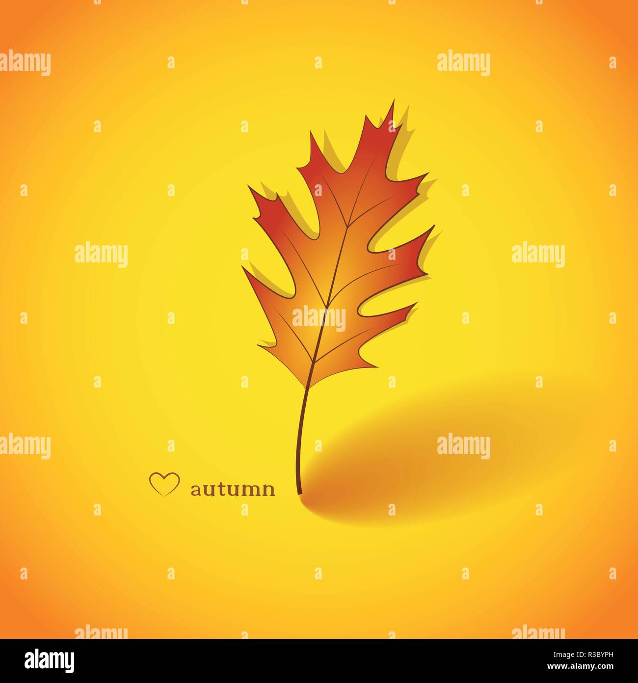 beautiful orange autumn leaf vector illustration EPS10 Stock Vector