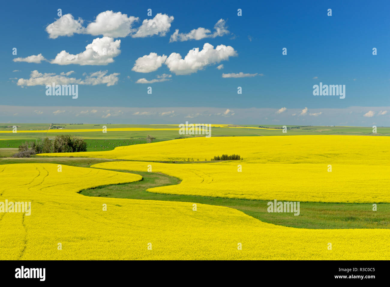 Strathmore High Resolution Stock Photography and Images Alamy