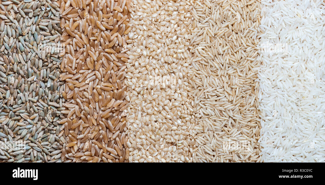 Organic rice, Mixed rice and texture for background Stock Photo