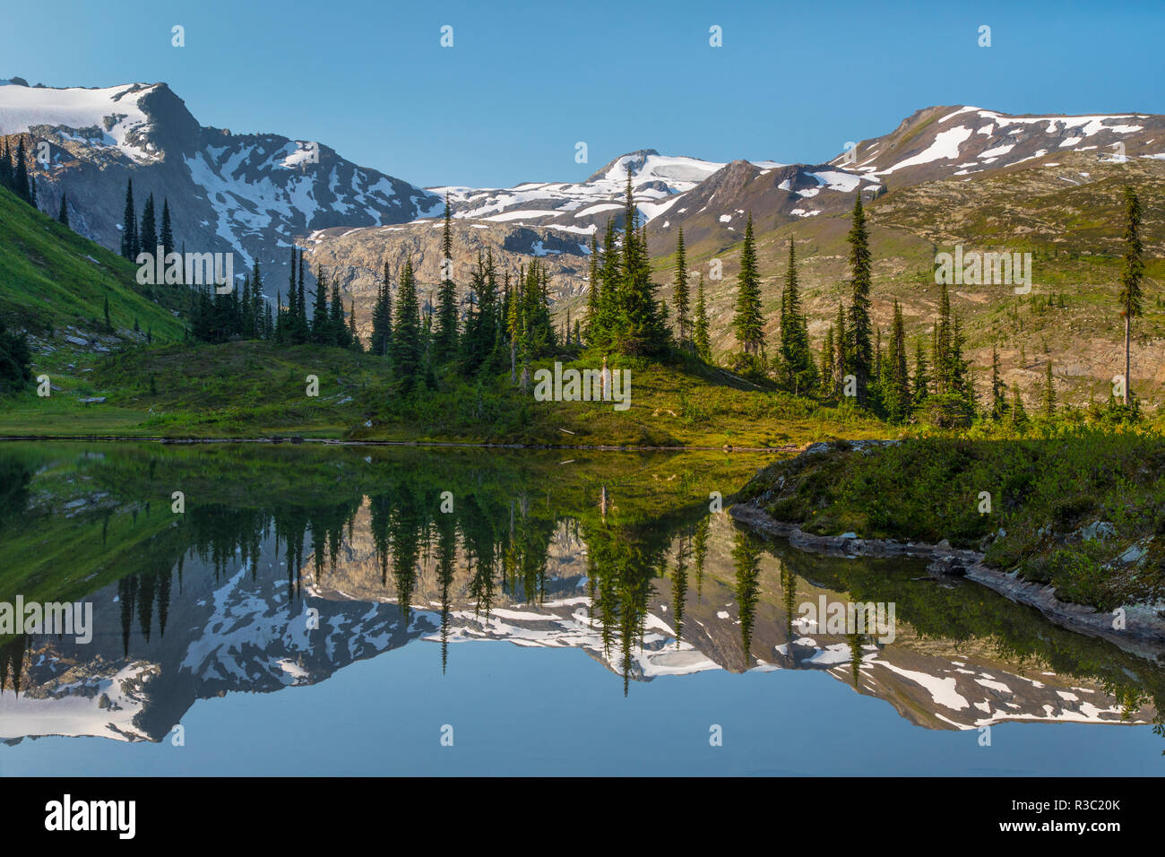 Marmot lake hi res stock photography and images Alamy