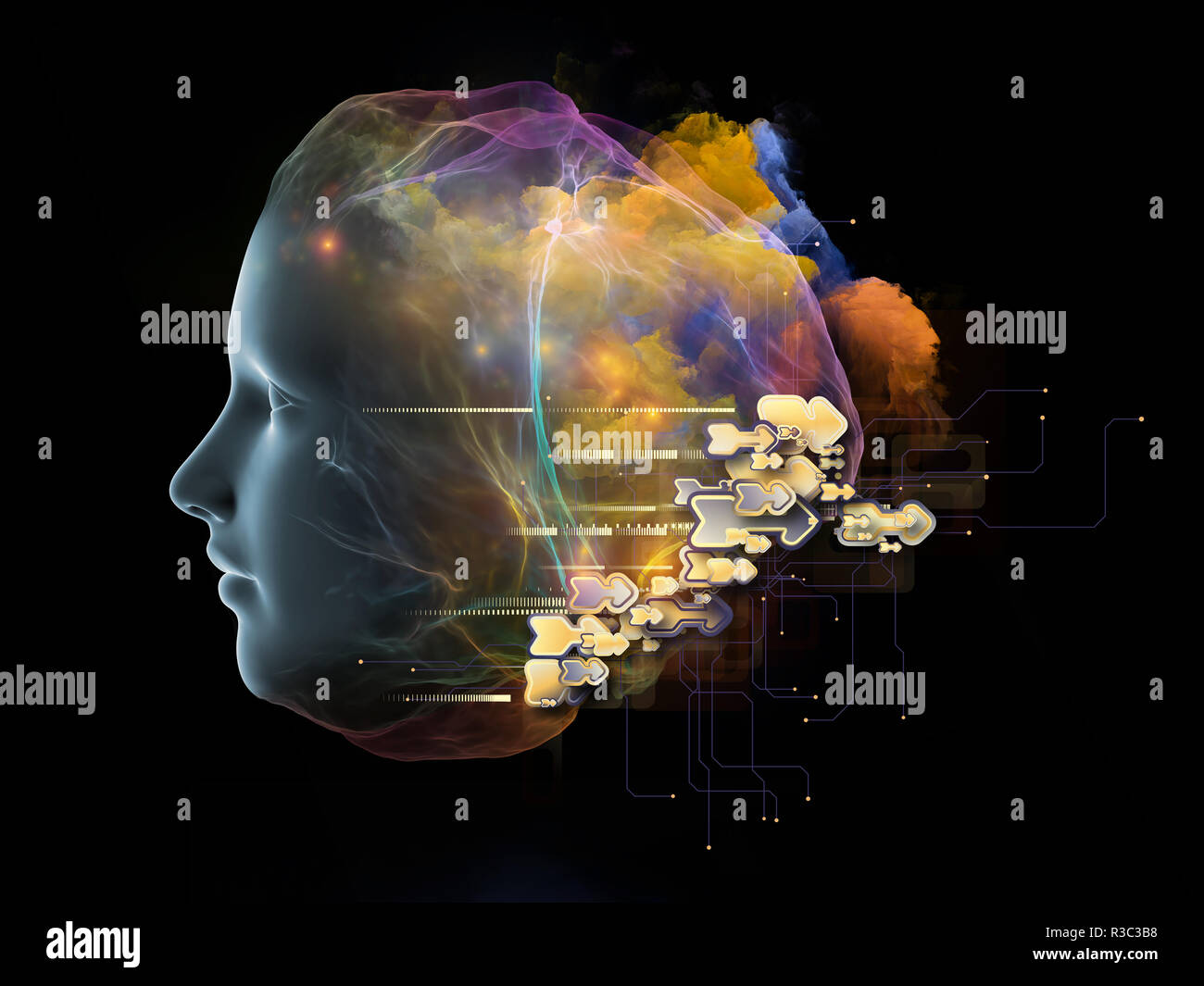 Detailed model human brain hi-res stock photography and images - Alamy