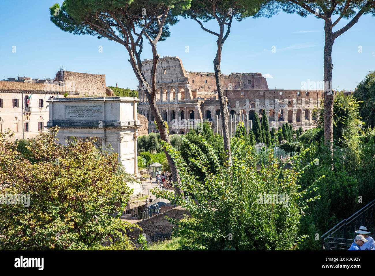 Coluseeum Rome High Res Colosseum viewed from roman hi-res stock photography and images - Alamy