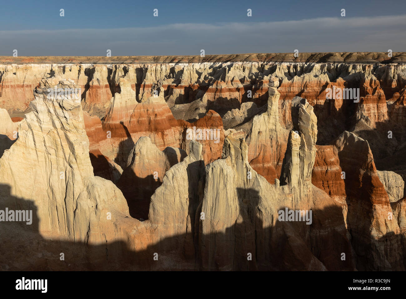 Coal Mine Canyon near Tuba City, Arizona, part of the Moenkopi Wash
