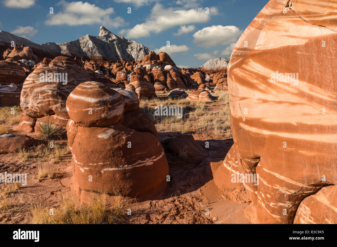 Unique hoodoo formations of Blue Canyon near Tuba City, Arizona, part