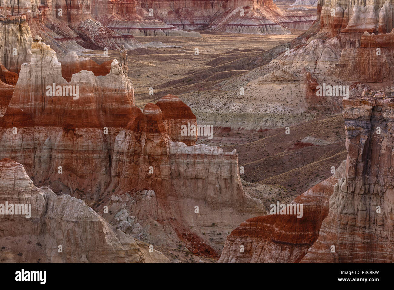 Unique colorful formations of Coal Mine Canyon, Arizona Stock Photo