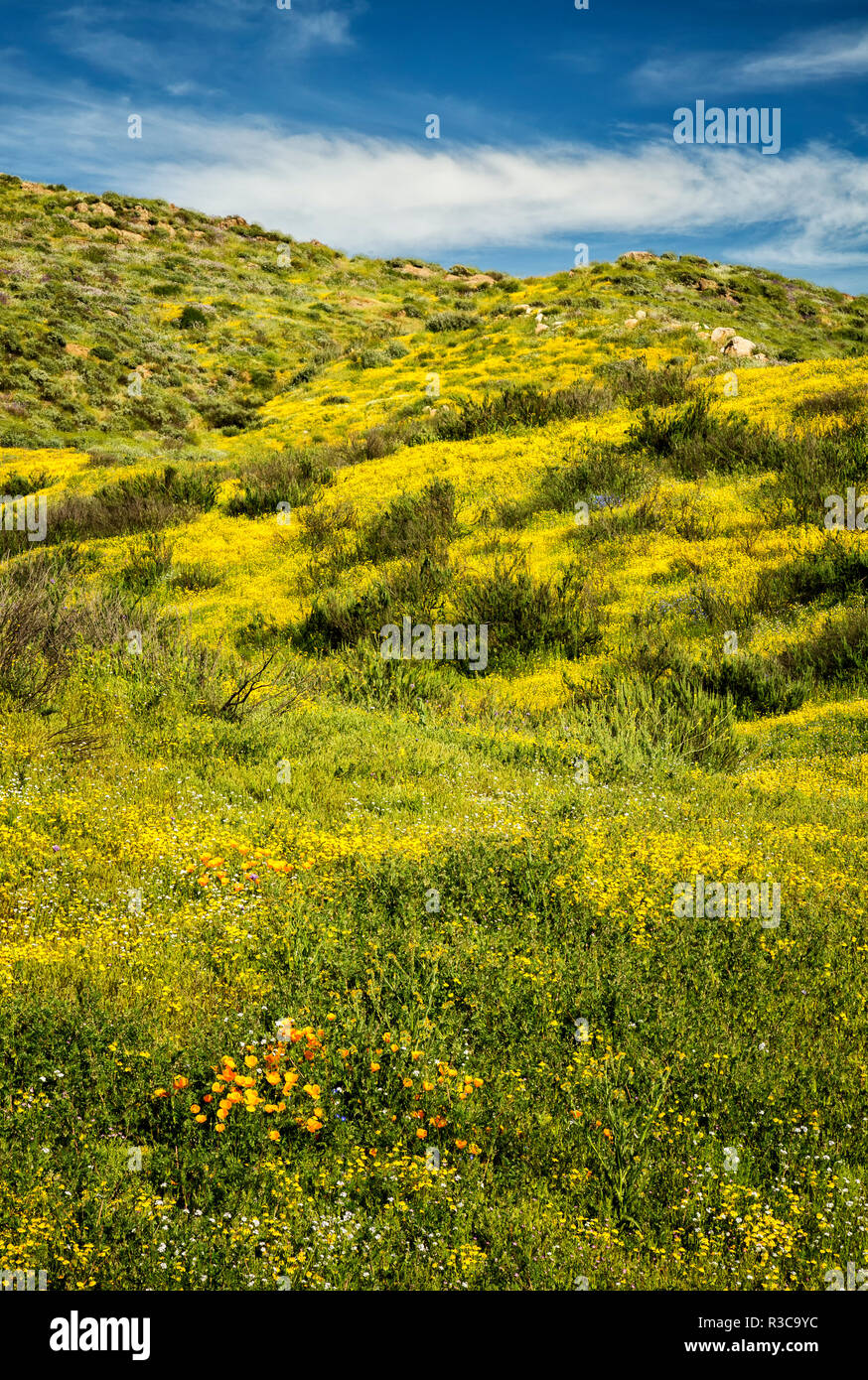 Hemet California High Resolution Stock Photography and Images Alamy