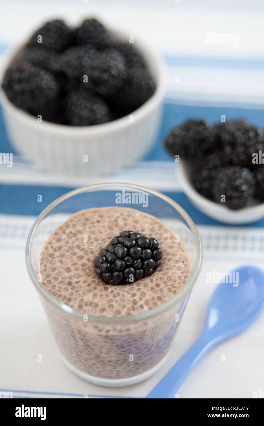 Healthy chia pudding Stock Photo Alamy