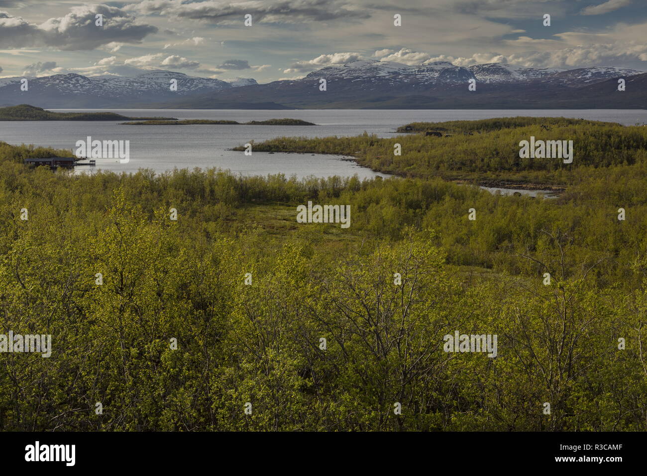 Arctic Sweden in spring, looking across boreal birch woodland and bog to Lake Tornetrask near Abisko. Sweden. Stock Photo