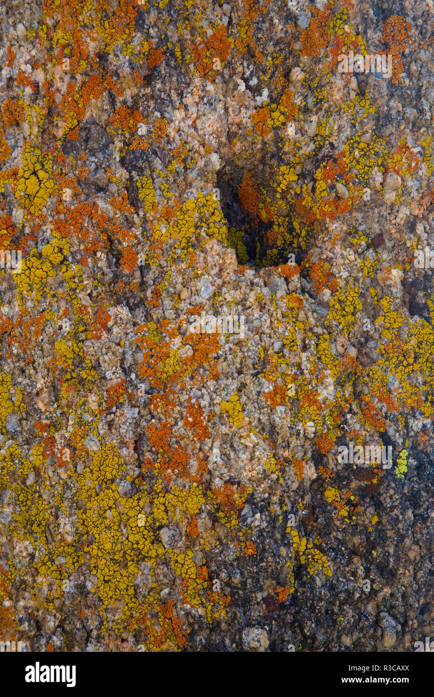 Lichen on rocks in Alabama Hills, California Stock Photo