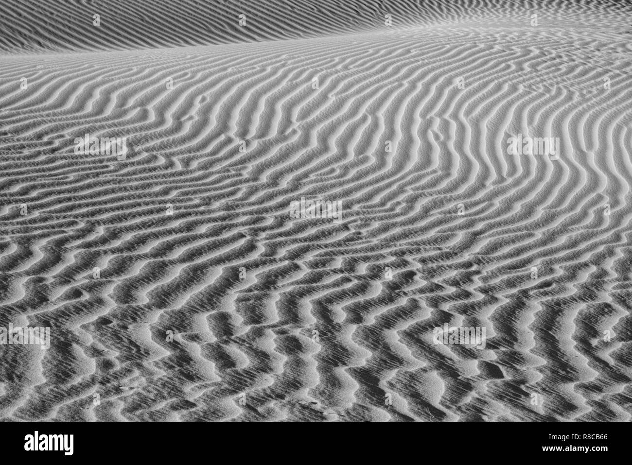 USA, California. Black and white image of windblown sand dune Stock Photo