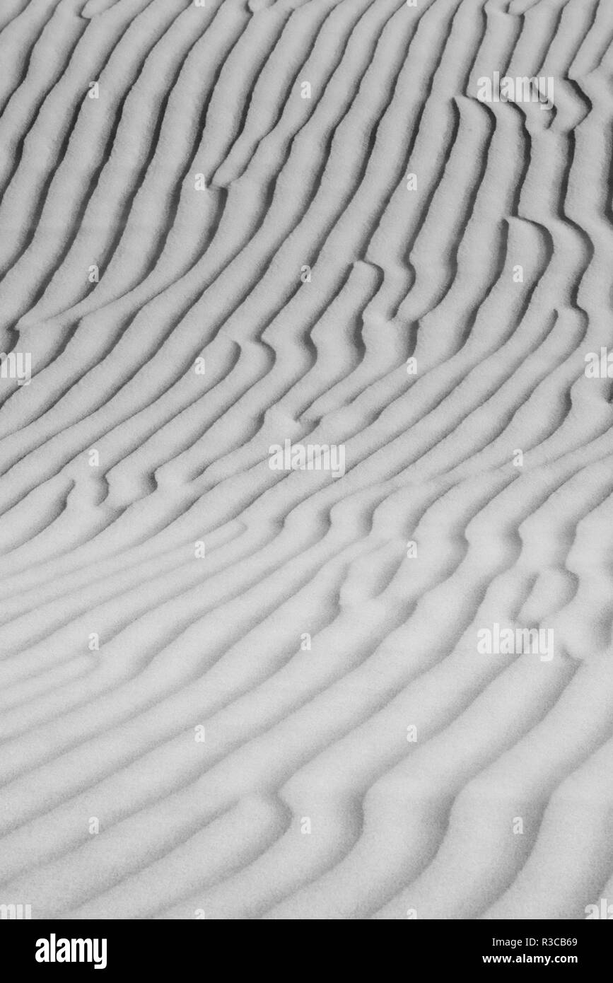 USA, California. Black and white image of windblown sand dune Stock Photo