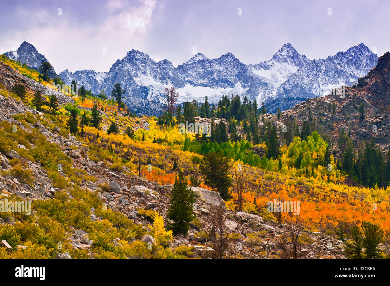 Fall color along Creek under Sierra peaks, Inyo National Forest