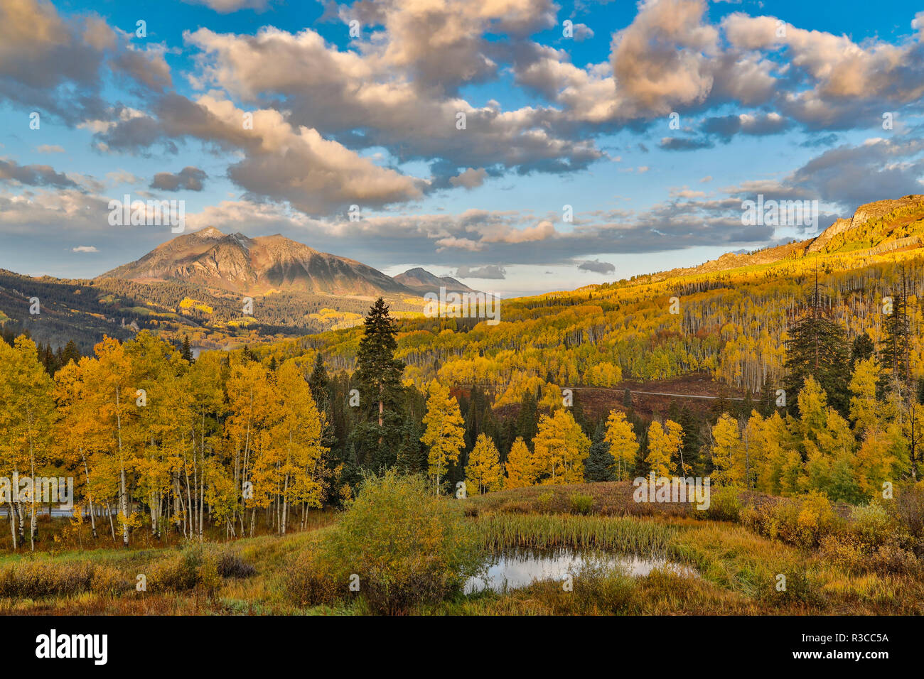 Fall colors near Kebler Pass, Crested Butte Stock Photo Alamy