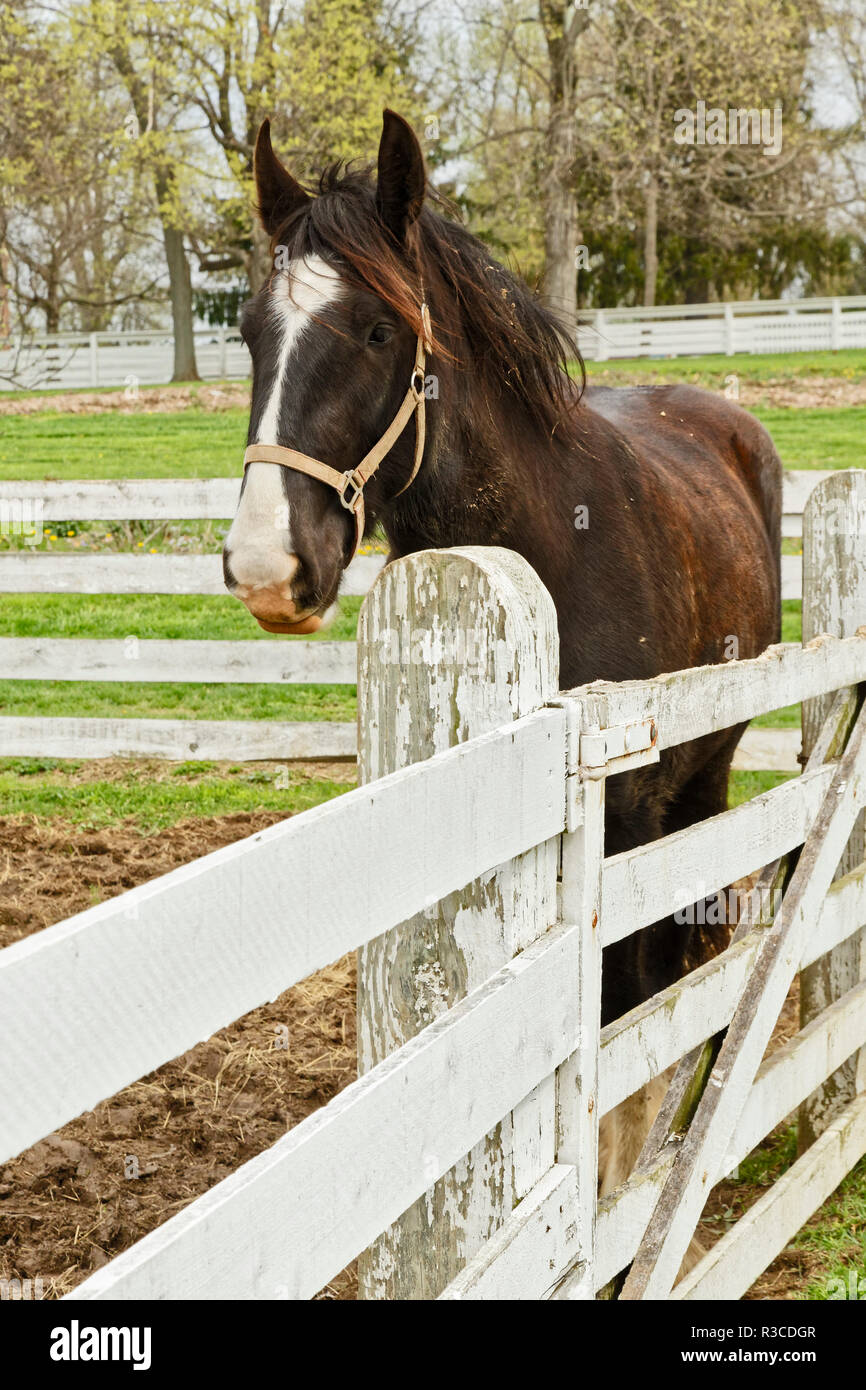 Shaker village of pleasant hill hires stock photography and images Alamy