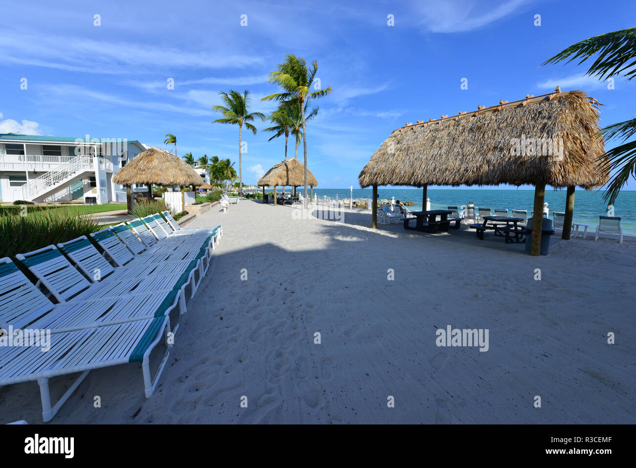 Key colony beach in Florida Stock Photo Alamy