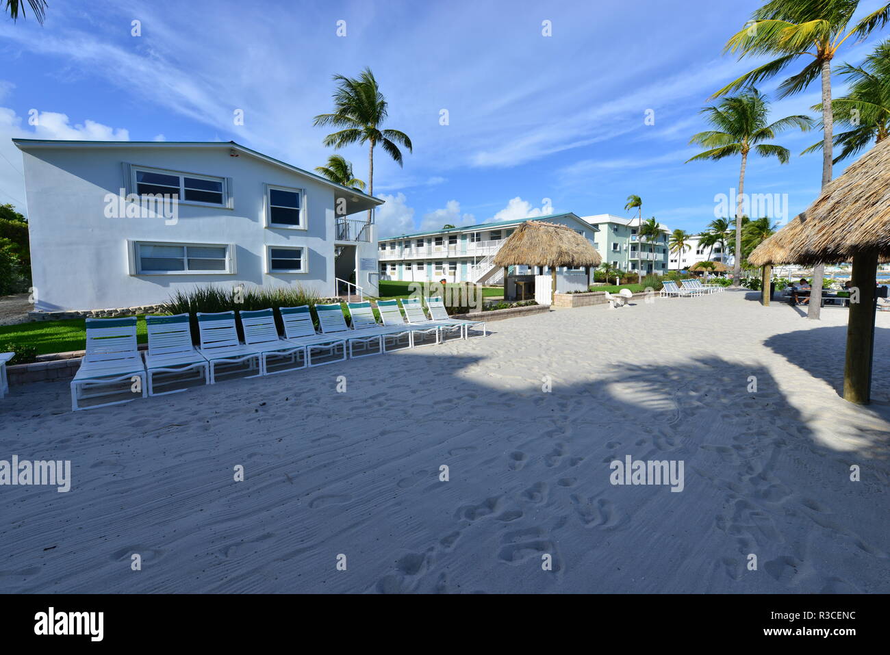 Key colony beach in Florida Stock Photo Alamy