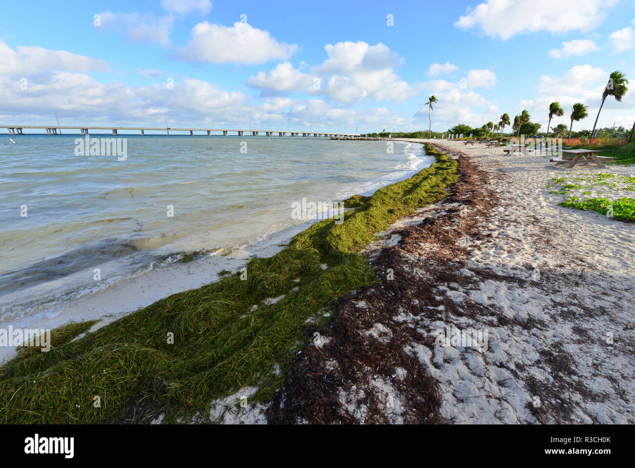 Beach at Bahia Honda Stock Photo Alamy