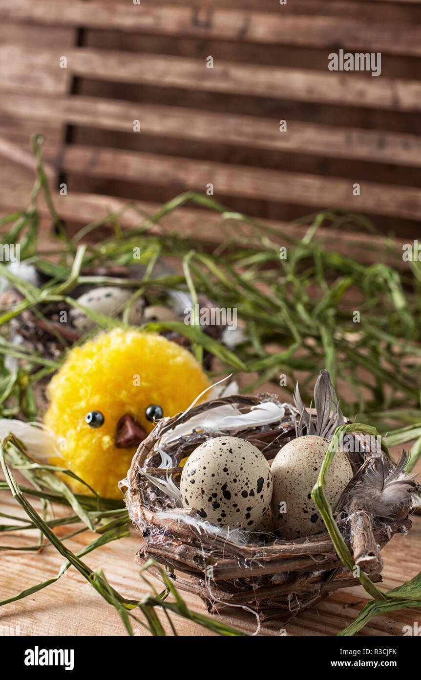 spring composition of nest with quail eggs and chicks Stock Photo