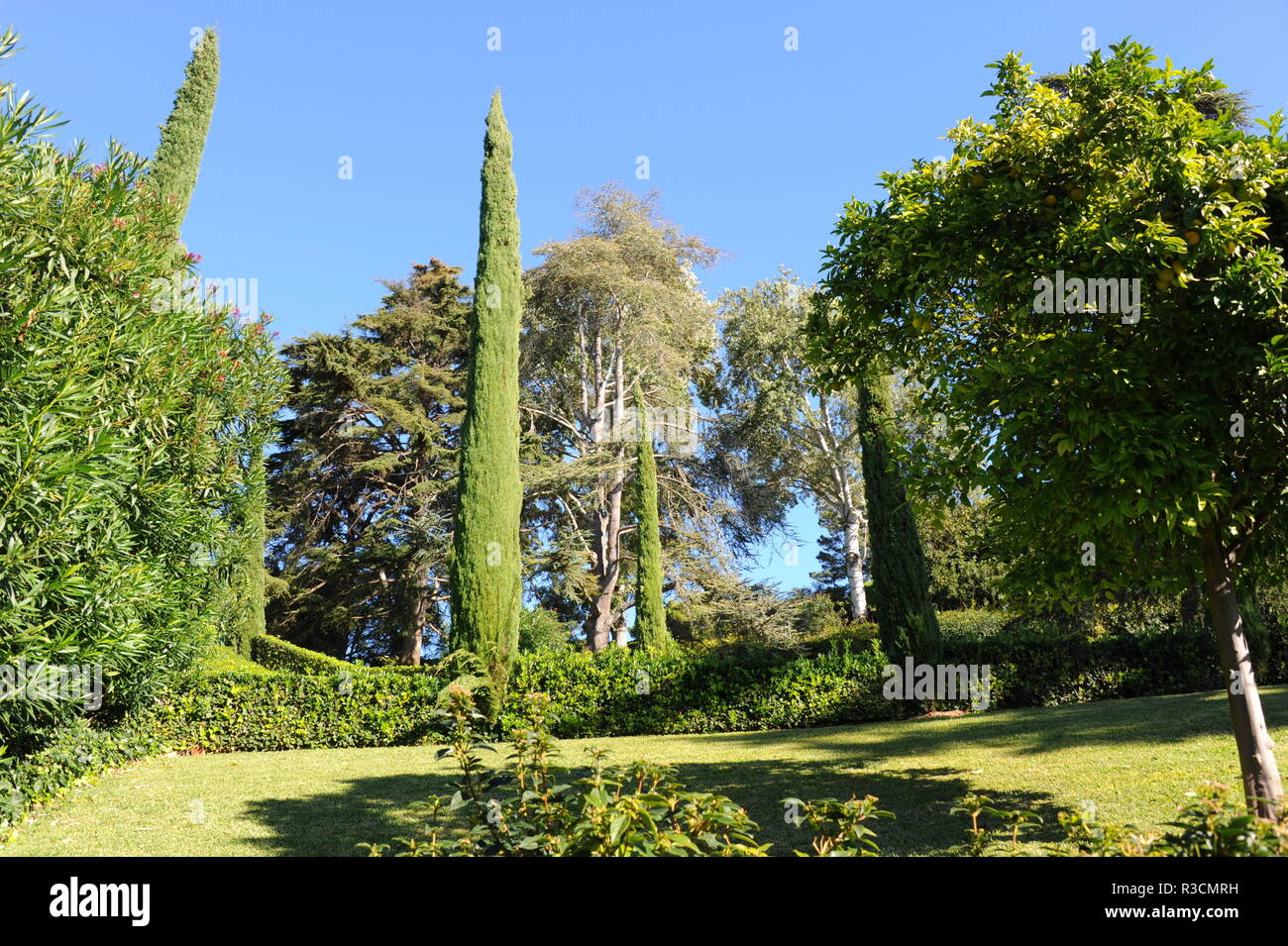 spanien,lloret de mar,costa brava,botanischer garten clotilde,baume