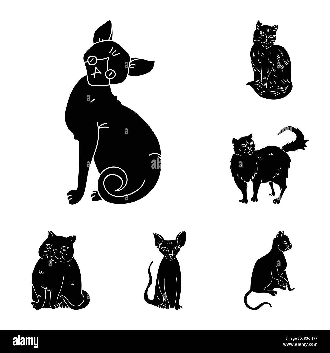 Breeds of cats black icons in set collection for design. Pet cat vector
