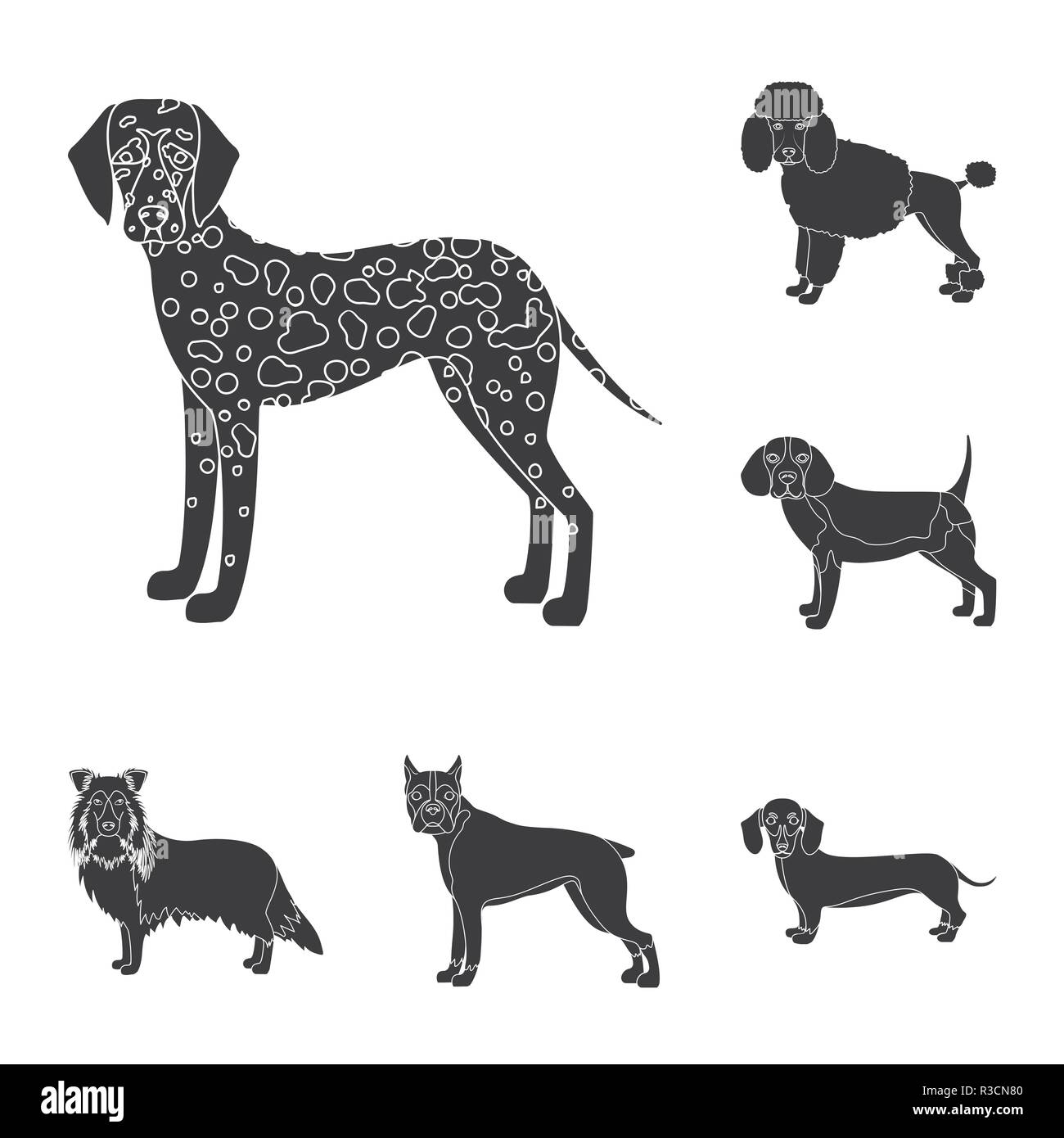 Dog breeds black icons in set collection for design.Dog pet vector ...