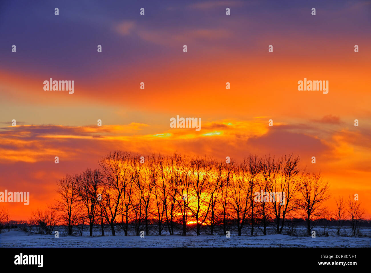 Altona manitoba hires stock photography and images Alamy