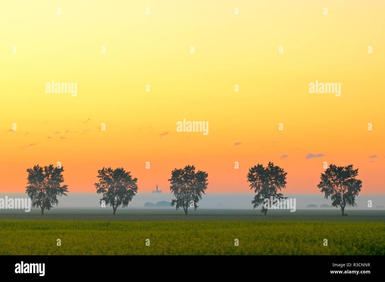 Fannystelle hires stock photography and images Alamy