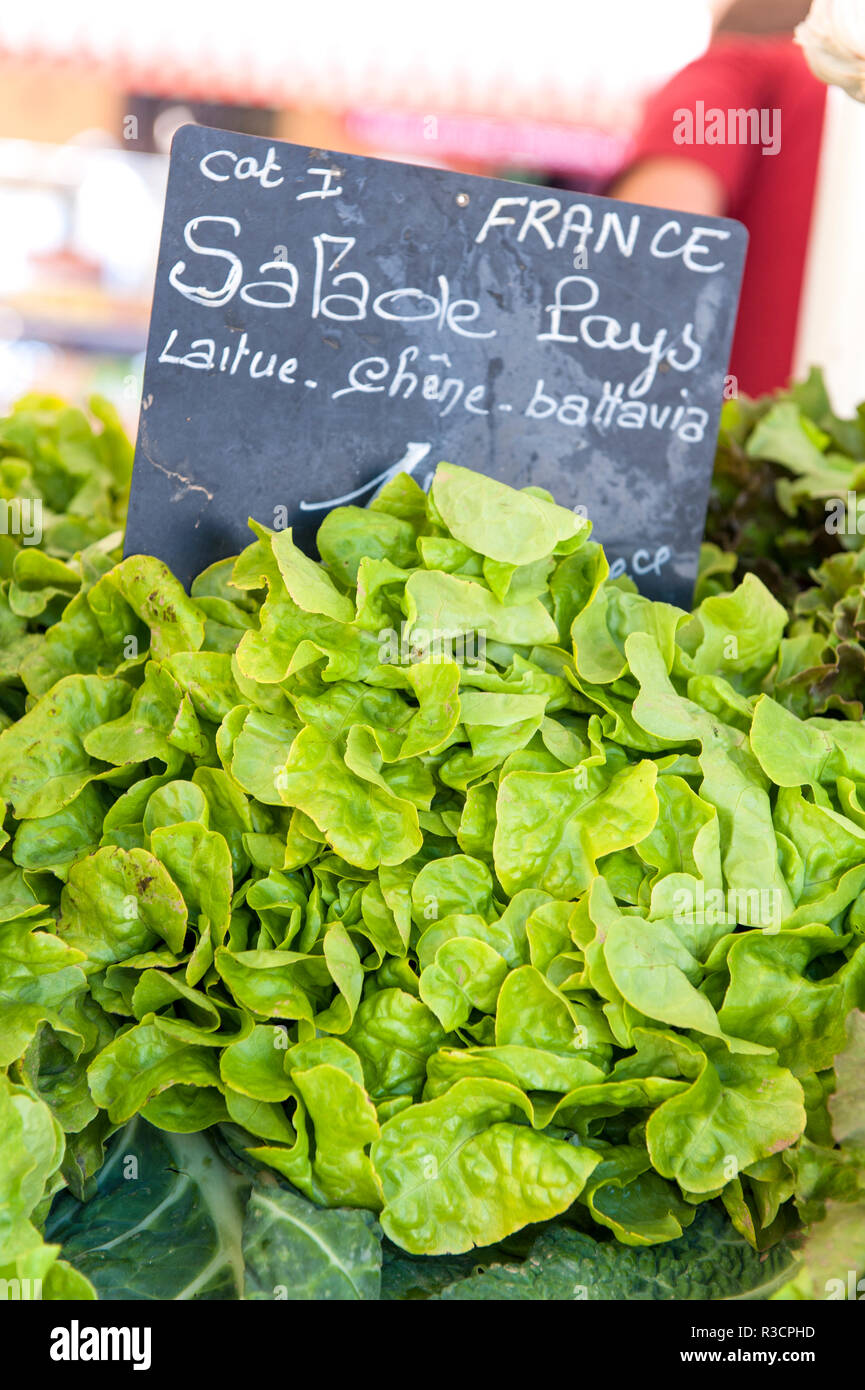 Lettuce in outdoor market, Nice, Cote d'Azur, France, Europe Stock