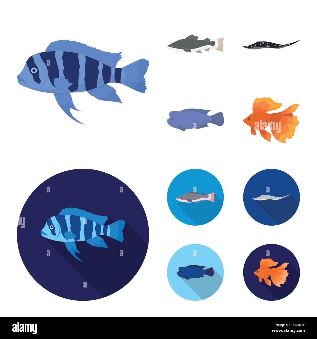 Frontosa, cichlid, phractocephalus hemioliopterus.Fish set collection icons in cartoon,flat style vector symbol stock illustration . Stock Vector