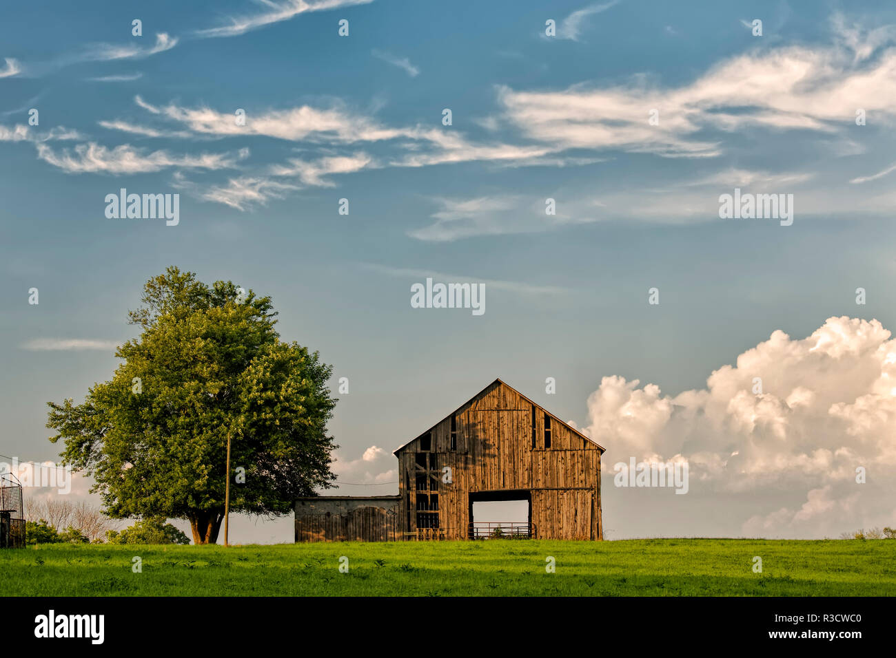 Barn in afternoon light, Kentucky Stock Photo