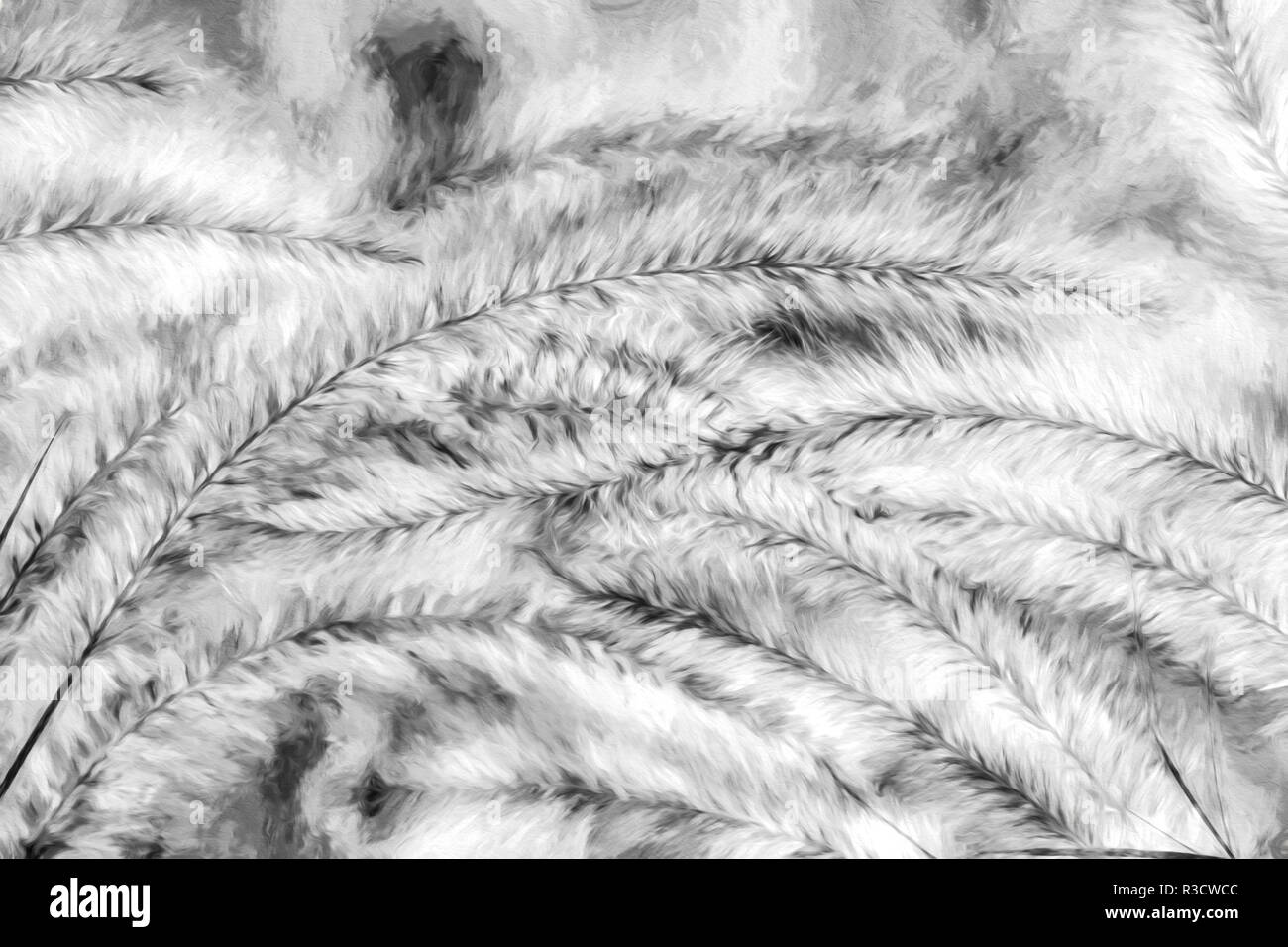 Ornamental foxtail grasses painting, Louisville, Kentucky Stock Photo