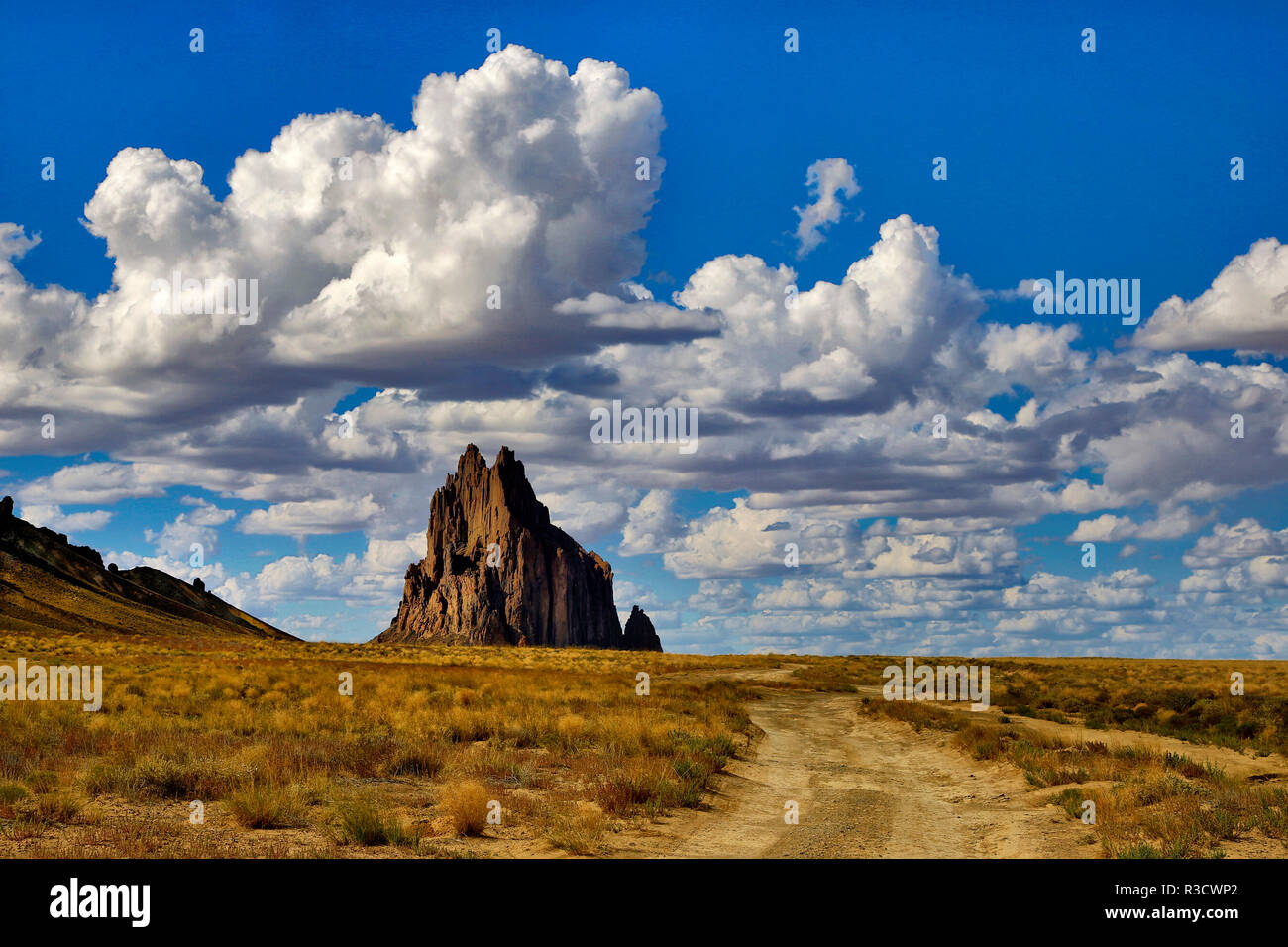 USA, New Mexico. Shiprock formation on Navajo Indian Reservation Stock