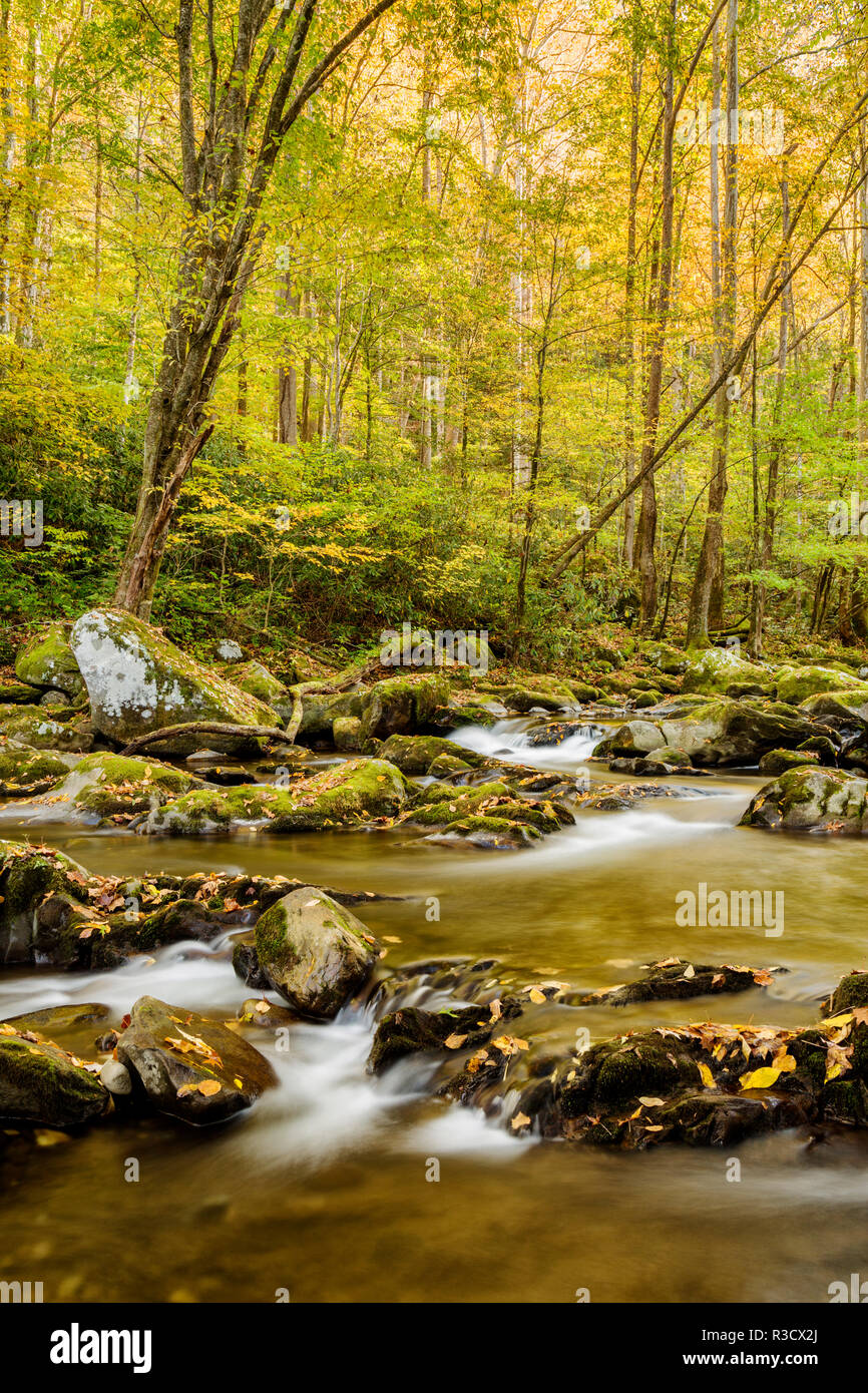 USA, North Carolina, Great Smoky Mountains National Park. Big Creek Stock Photo